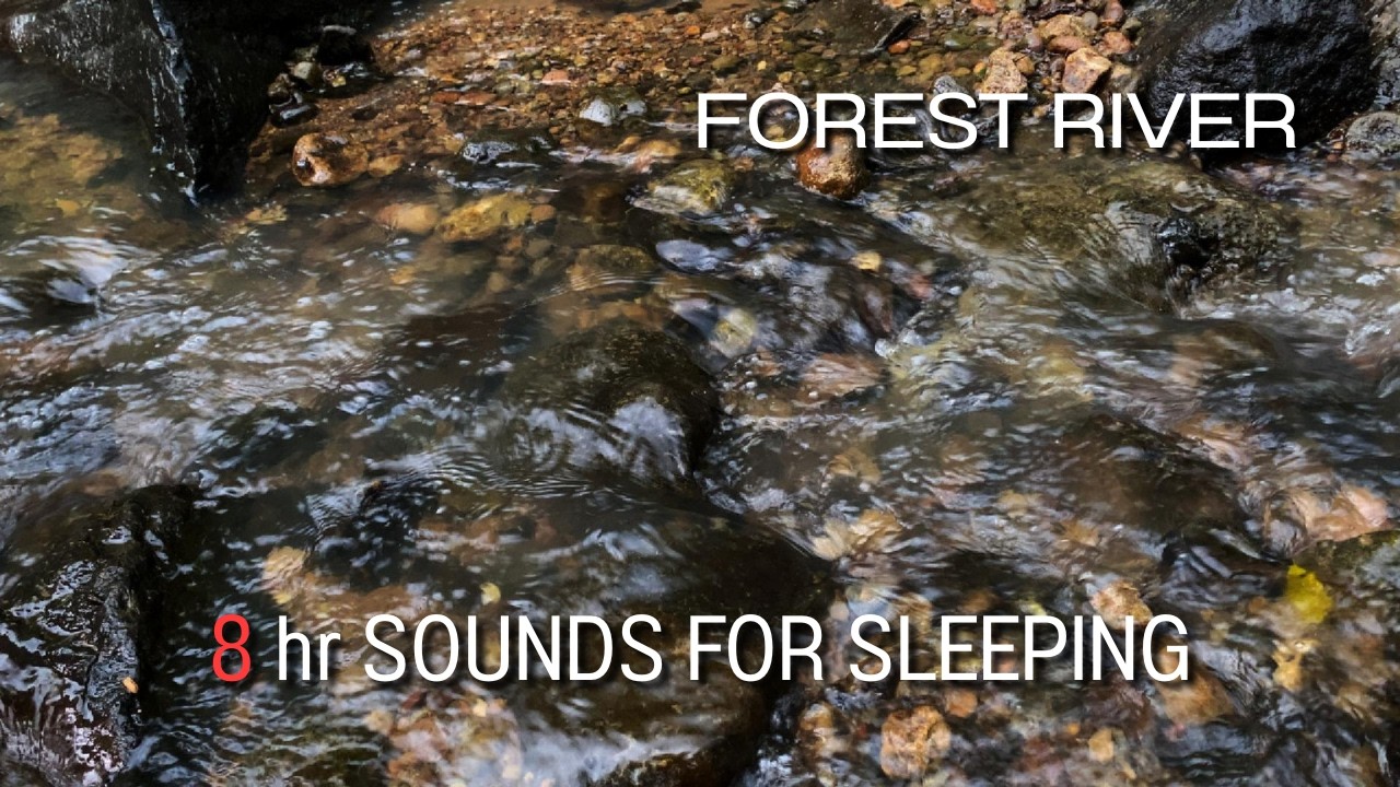 Forest River - Stream Sounds for Sleeping - No Birds - Relaxing Nature Video - Water Flowing 8 Hours