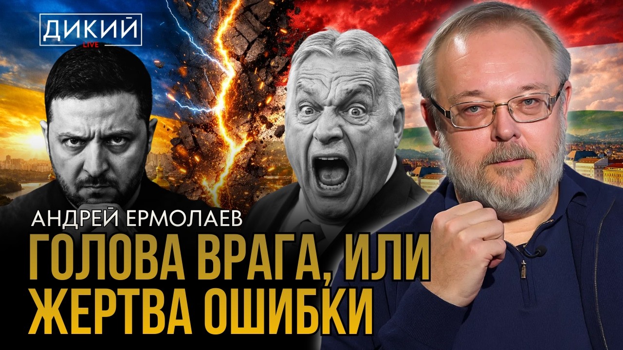 СКАНДАЛ! ХАМСТВО ПО-СОСЕДСКИ. АНДРЕЙ ЕРМОЛAЕВ. ДИКИЙ LIVE