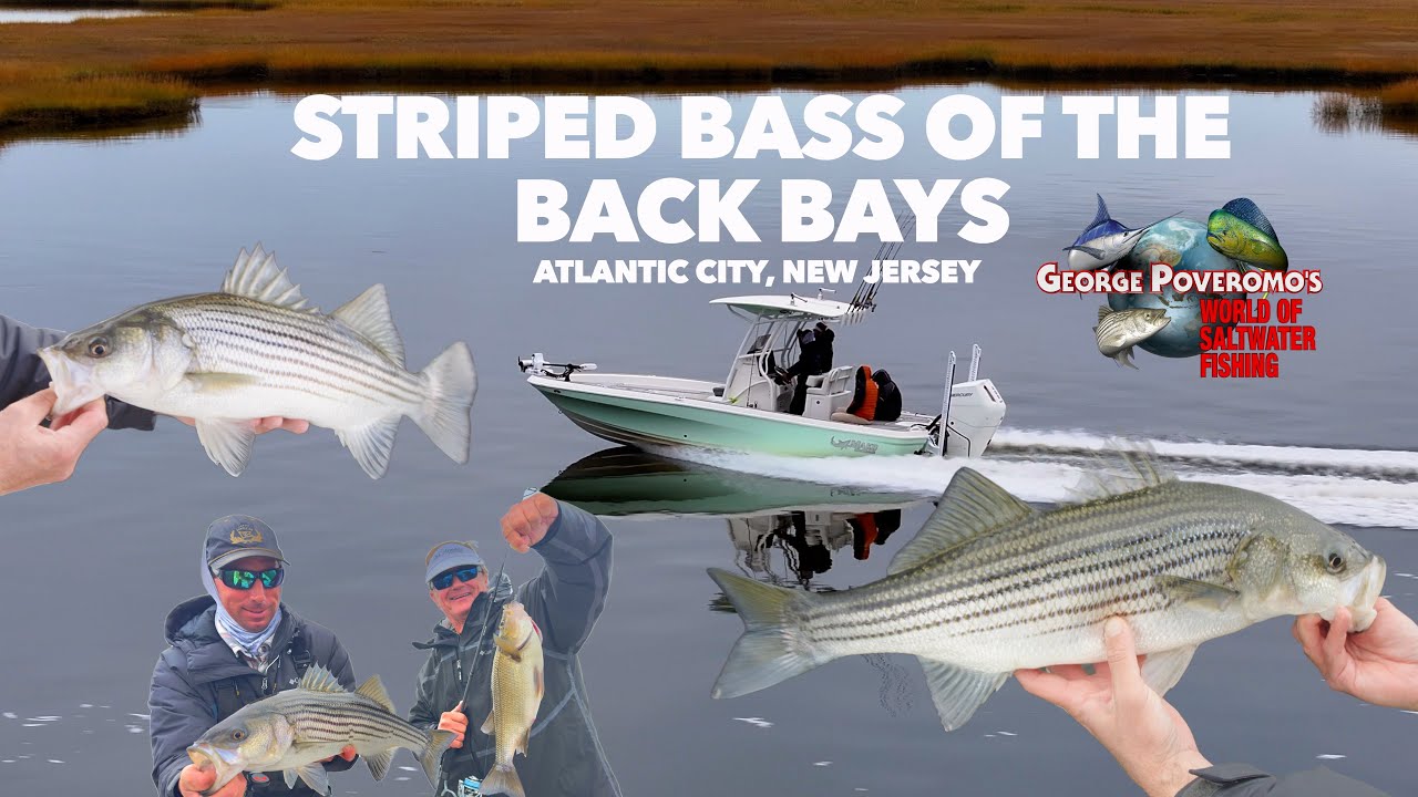 2026 SEASON - Episode 6, Atlantic City, New Jersey - Striped Bass Of The Back Bays!
