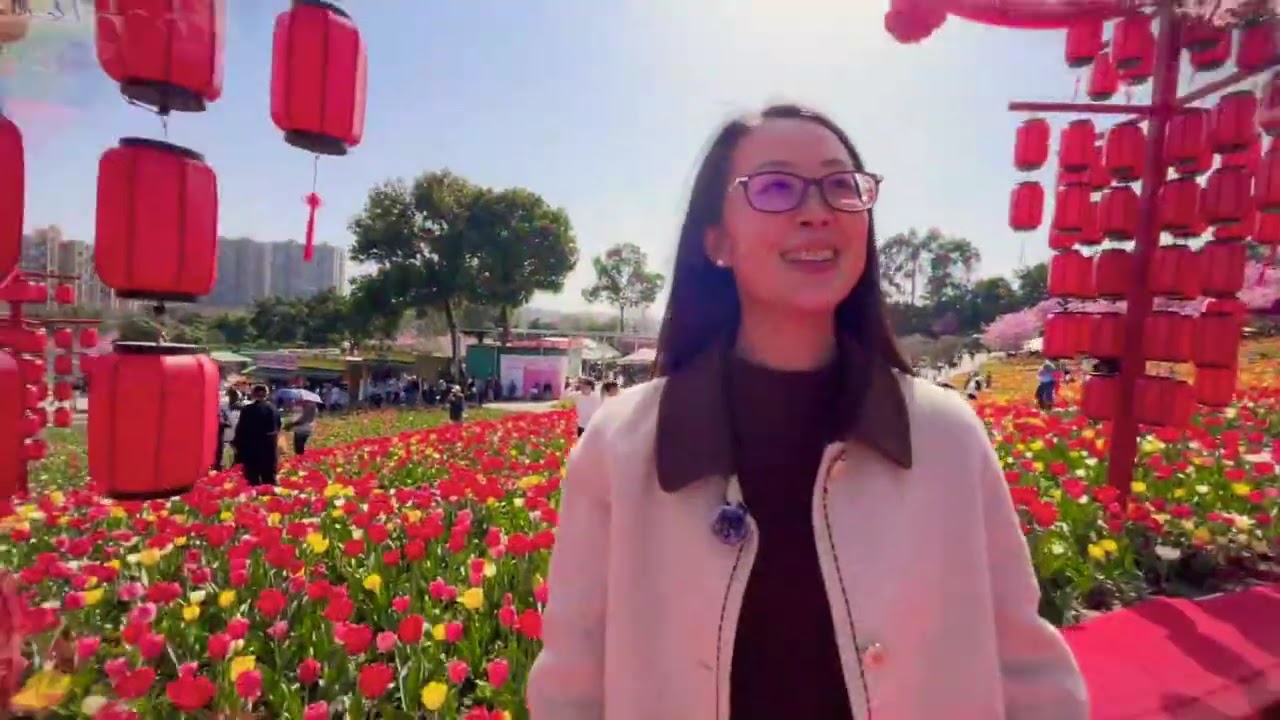 【慢速中文•情景输入】Slow Mandarin in Context 🌸 Cherry Blossoms in Chengdu