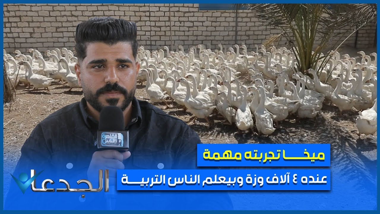 ميخا تجربته مهمة.. أكبر منتج للوز الروسي والألماني والفرنسي مش موجود زيه في مصر