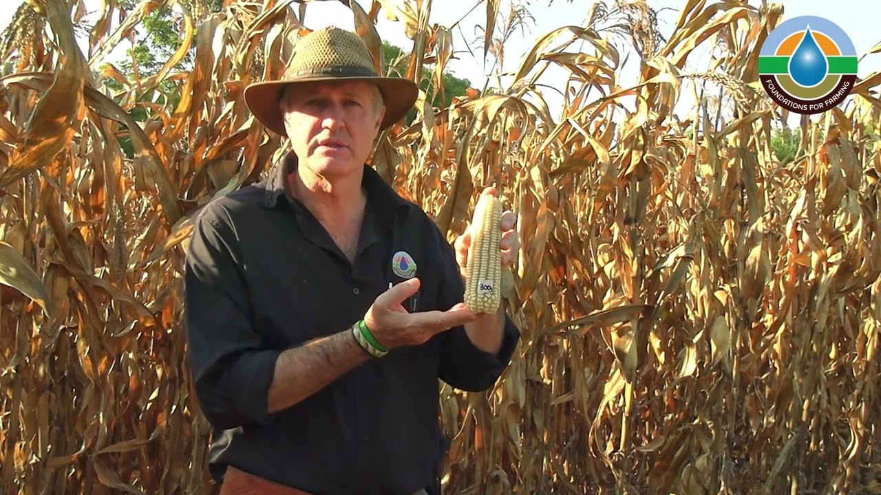 Want to learn how to increase your crop yield to 14 tonnes per Ha?