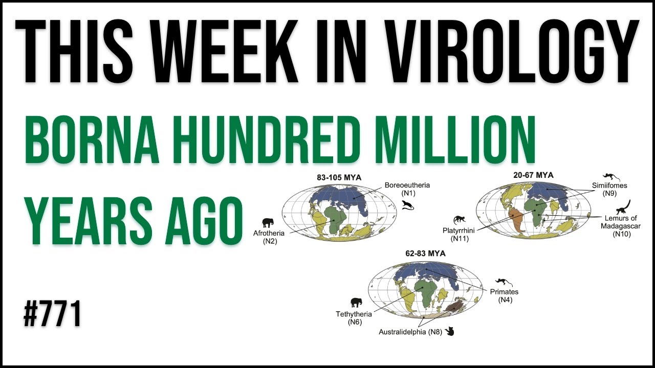 TWiV 771: Borna hundred million years ago