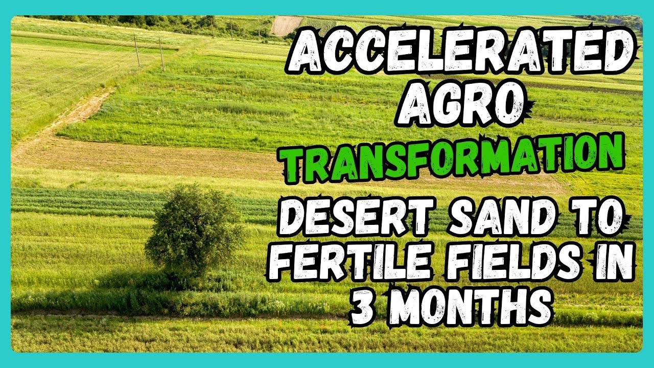 Accelerated Agro-Transformation: Desert Sand to Fertile Fields in 3 Month