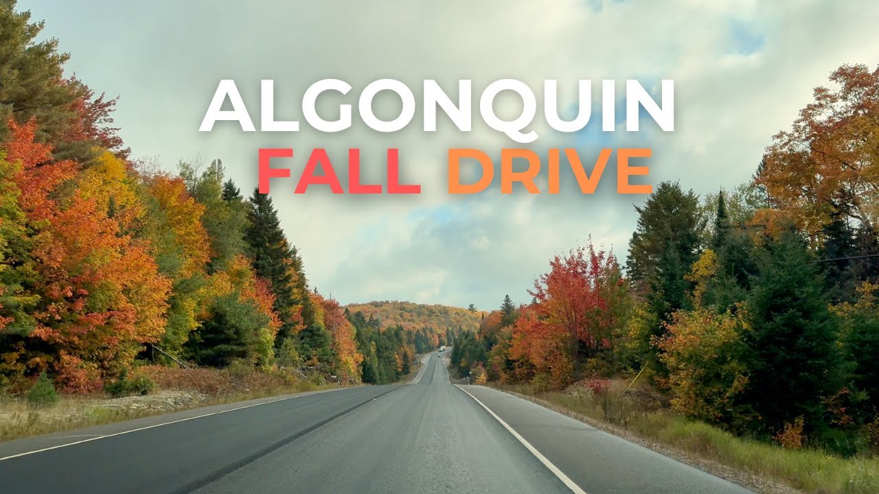 Fall Drive Through Algonquin 4K | Scenic Road Trip with Chill Music