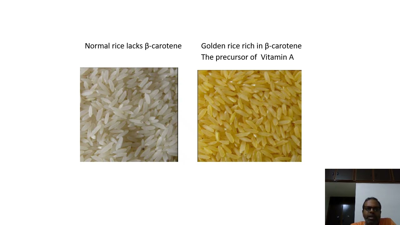 Lec 27.  Nutrition enhancement and quality improvement through transgenic approach.