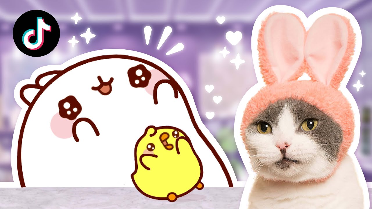 Cute Cartoon React To Cute Animals on TikTok | Cuteness Overload 🥺