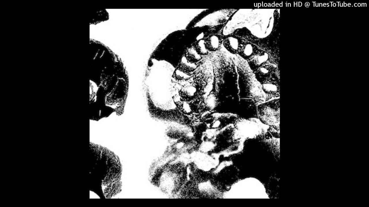 Folkstorm - Let the spirit exit