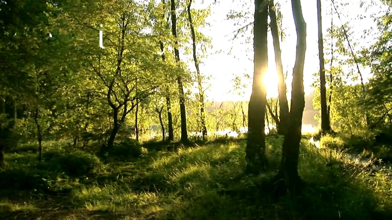 Film promocyjny gminy Kobylnica