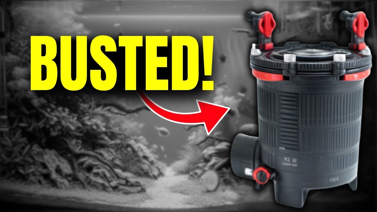 Top 10 Aquarium Myths BUSTED