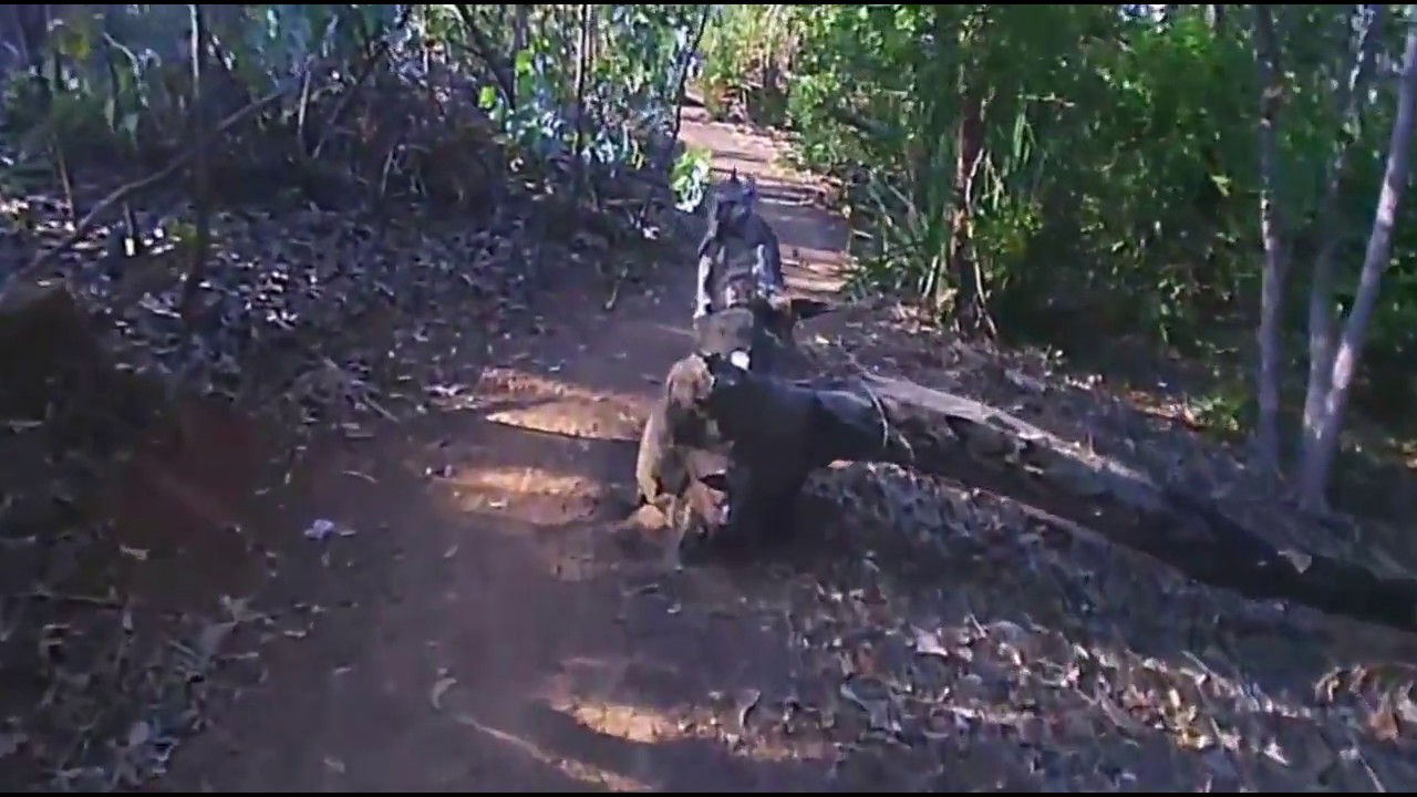 Yankee Pools / Rapid Creek Path   Part 1
