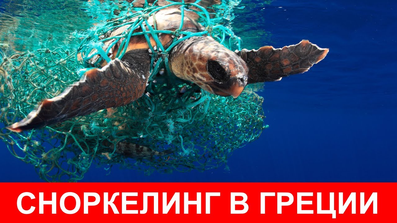 Снорклинг в Греции, Халкидики / Что такое настоящий Сноркелинг