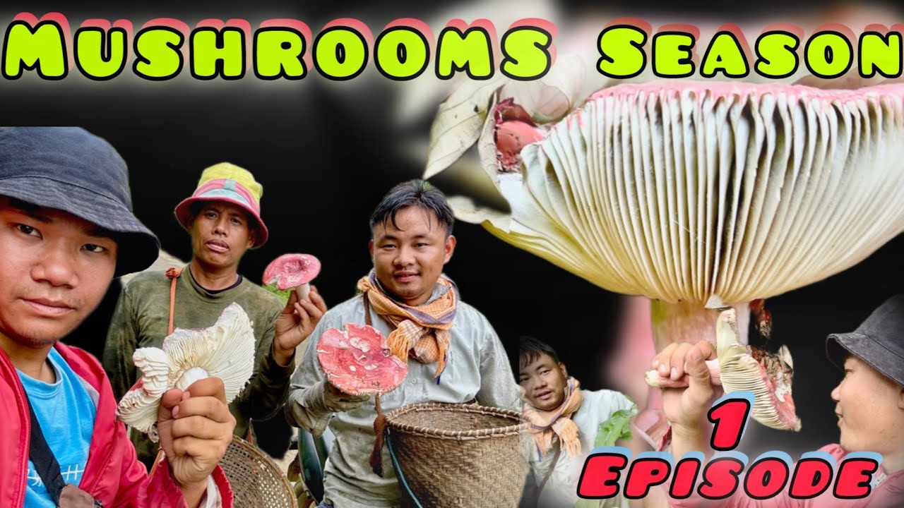 MUSHROOMS 🍄 SEASON || paardou @paalom @chengum || 1 episode