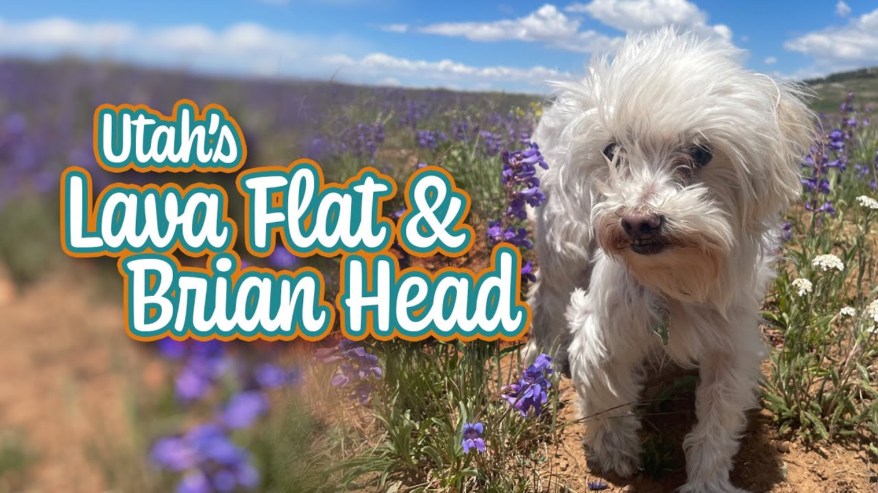 Utah's Lava Flat Campground & Brian Head