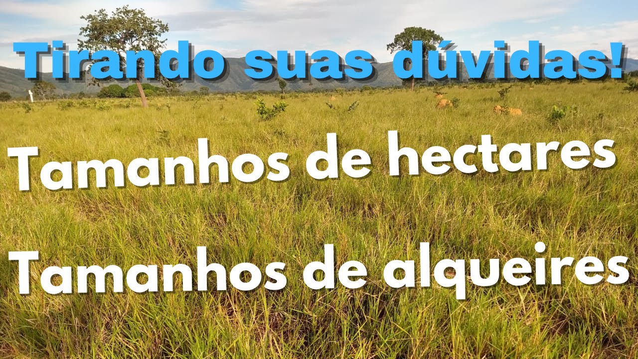 Tamanhos de hectares e tamanhos de alqueires