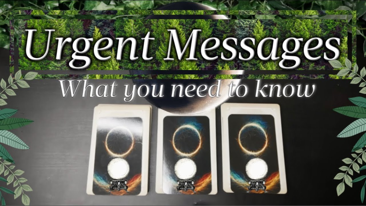 Messages to CONFIRM what SPIRIT has been saying to YOU! What you need to know 🗣️🕊️🪽💭❕📩🎺