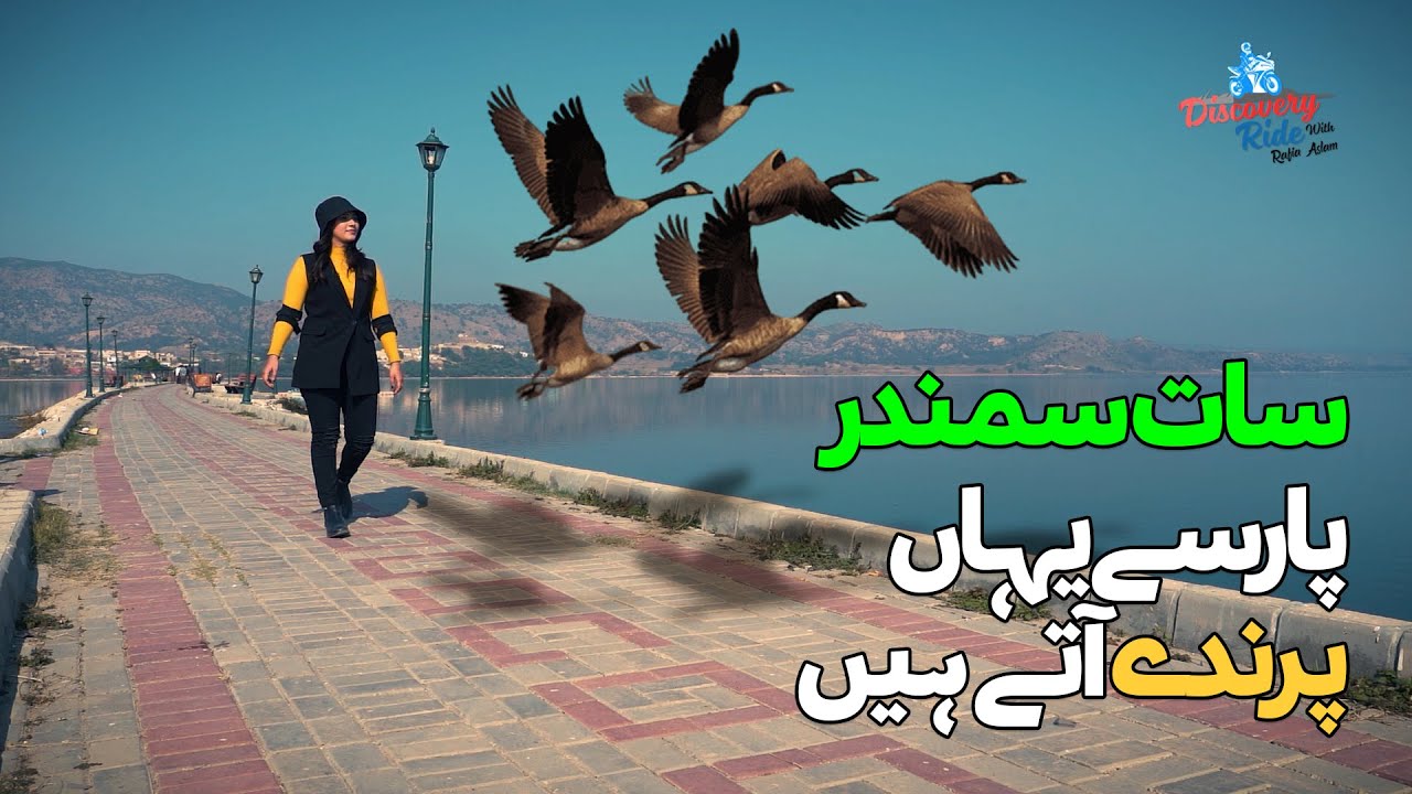 Uchali Lake Where Migrated Birds Come | Amazing Beauty of Khushab