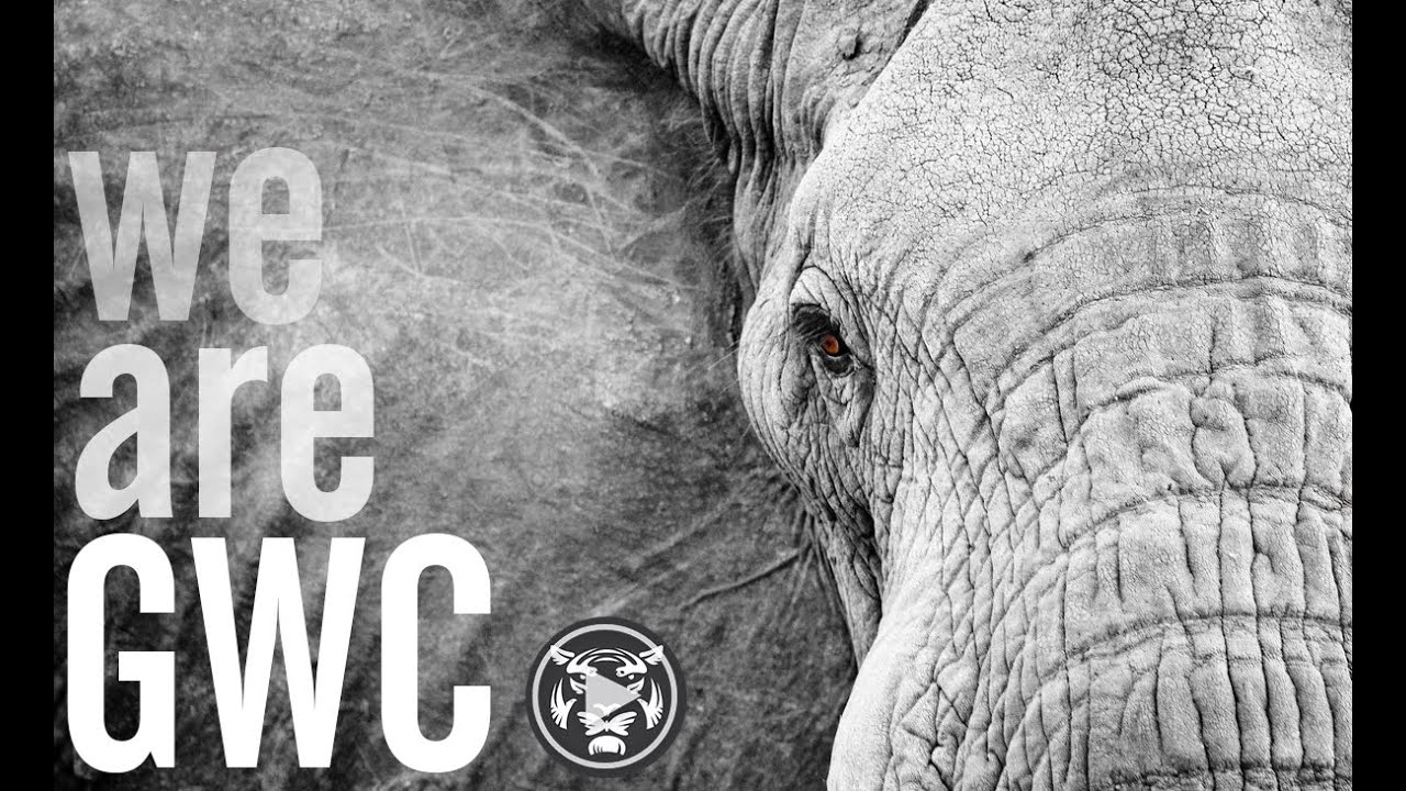 We are Global Wildlife Conservation