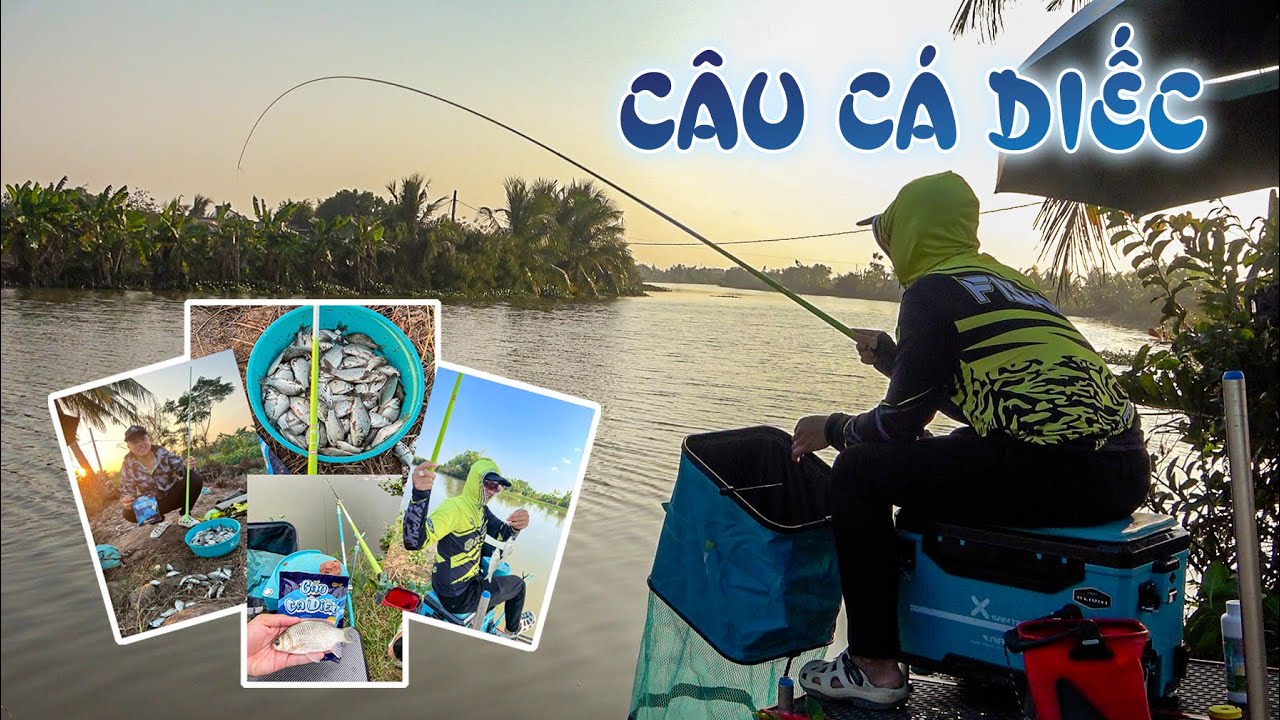 C&Acirc;U C&Aacute; DIẾC Với B&agrave;i Mồi GUF Gấu | Gặp Ngay Khắc Tinh Của Cần Thủ