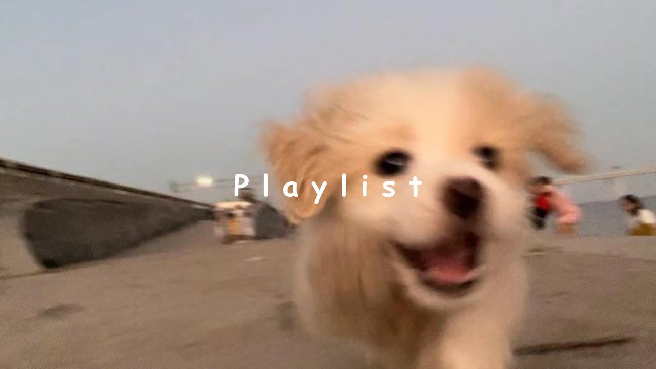 | 𝐏𝐥𝐚𝐲𝐥𝐢𝐬𝐭 | 잔잔한 인스타 릴스 바이브 플리🎶🫧| chill r&b · living room vibe · relaxed