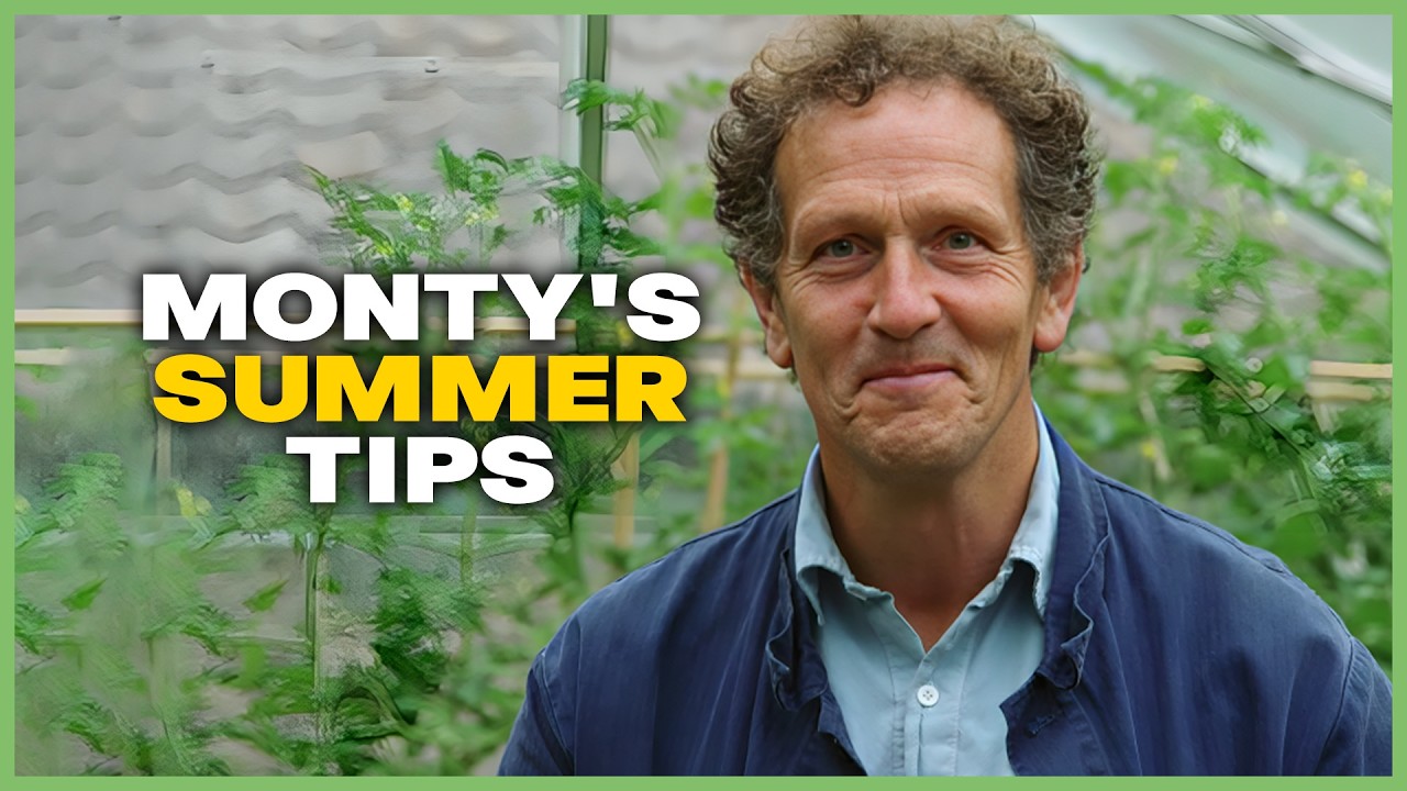 Лето в Лонгмедоу: что посадить в саду прямо сейчас! | Gardeners' World