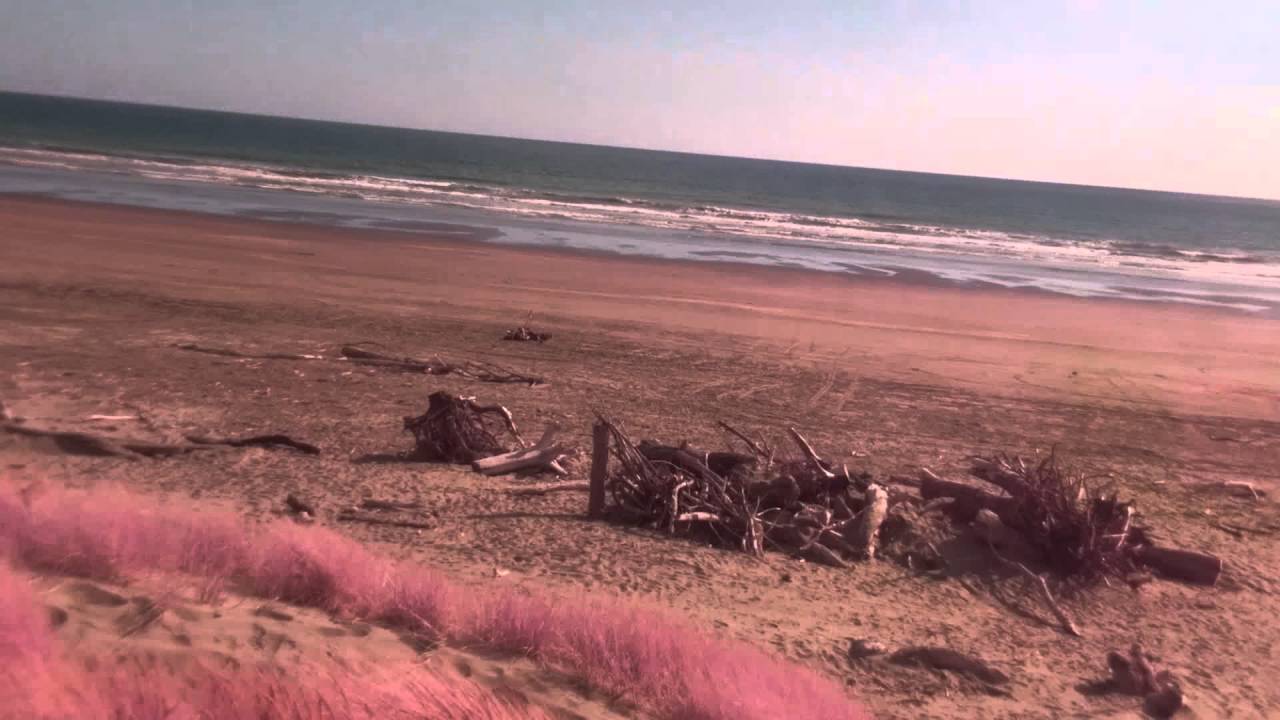 Raspberry Pi NoIR V2 camera - Seaside