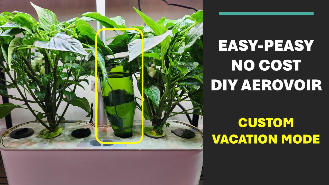 Easy-peasy No cost DIY AeroVoir for Aerogarden Harvest Hydroponics, better than Elite Vacation Mode