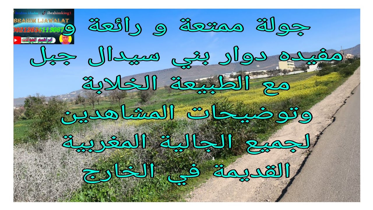 جولة ممتعة و رائعة ومفيدة في دوار بني سيدال جبل مع طبيعة خلابة وبعض توضيحات لجميع المشاهدين والجالية