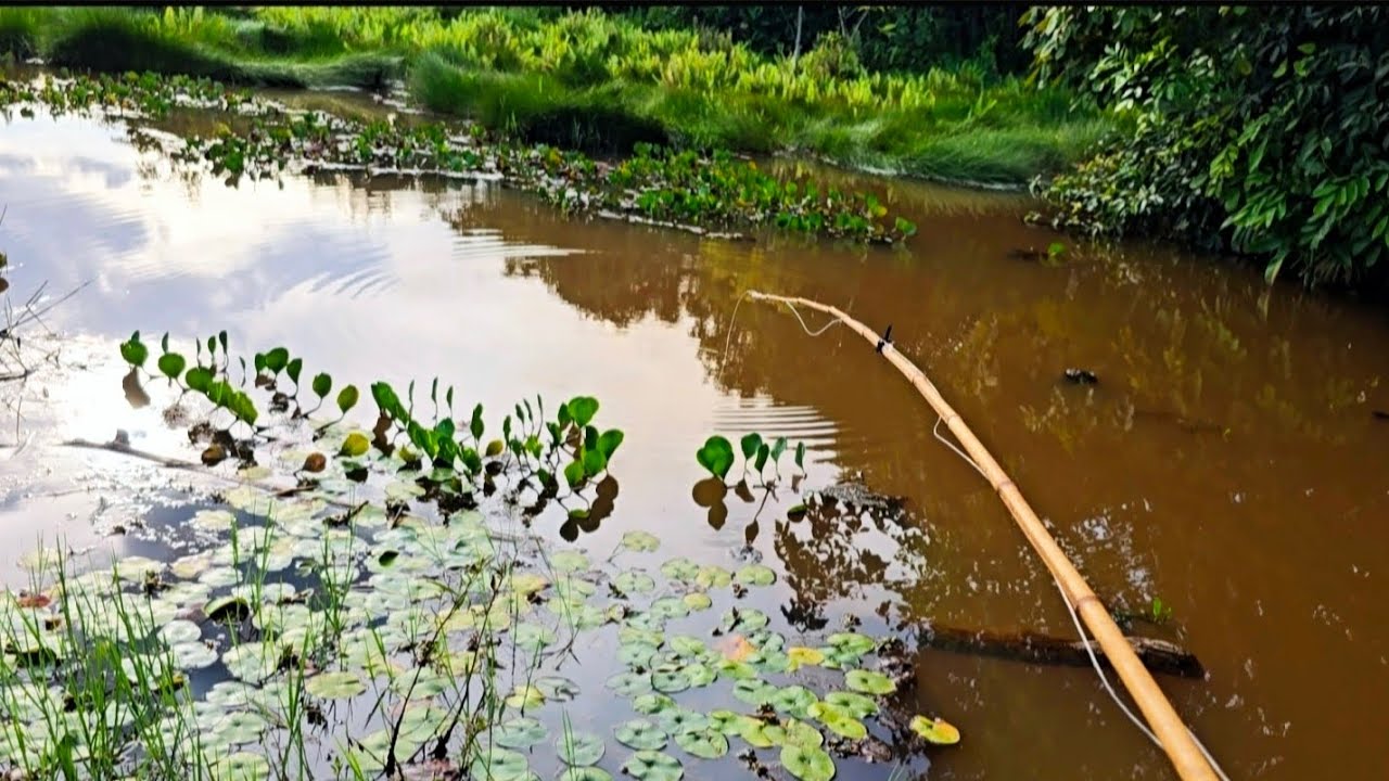 Pescaria de traíra,  SERÁ QUE VAI DAR BOM? Esse AÇUDE é muito antigo e PERIGOSO 😮