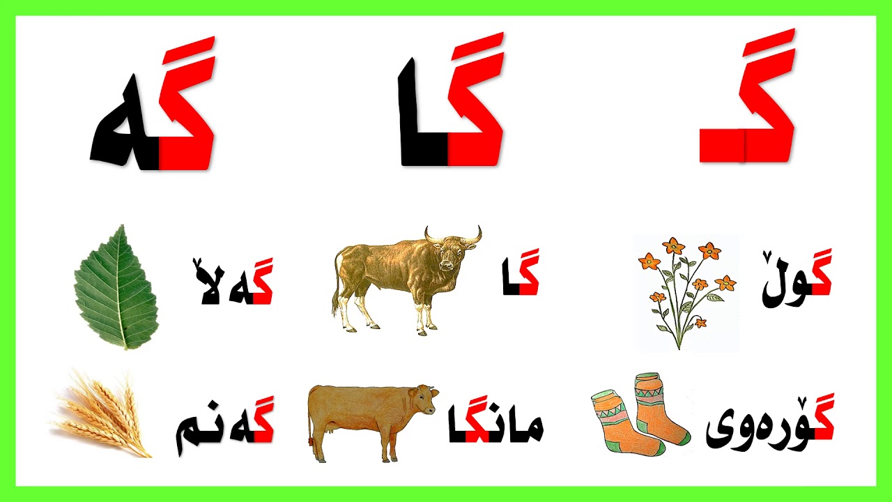 زمانی کوردی دەخوێنم وانەی بیست 20 گ