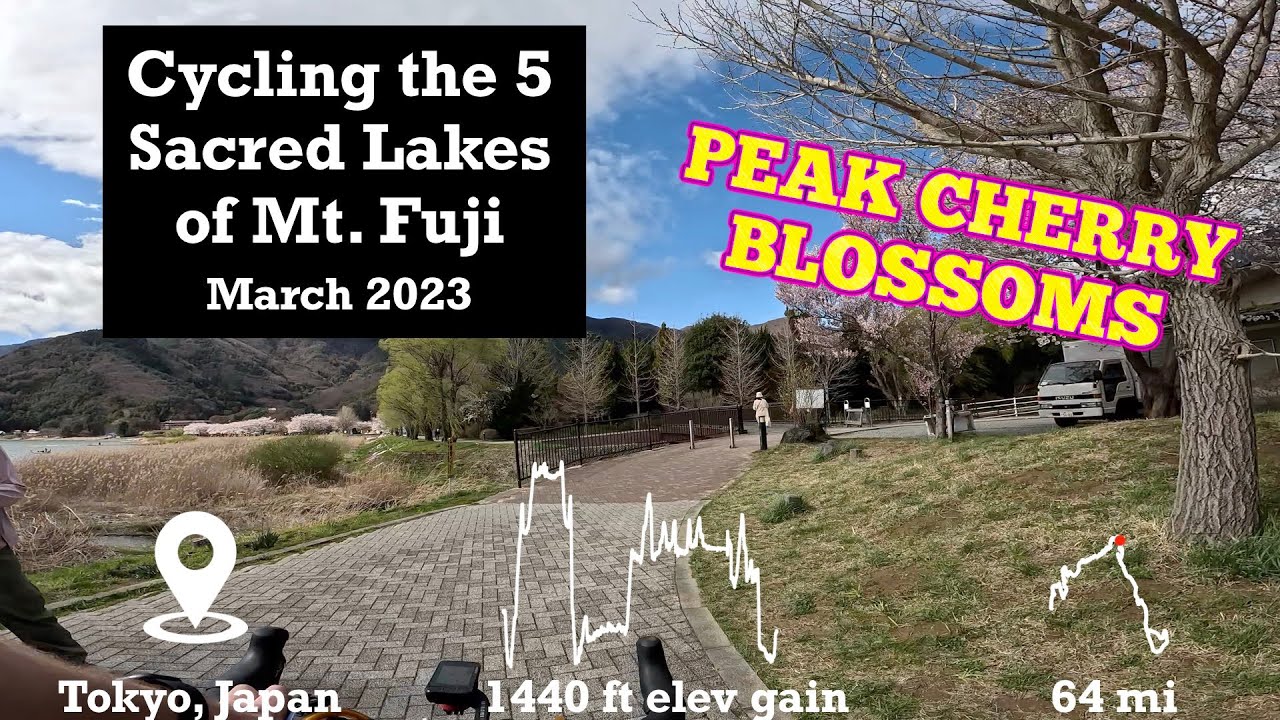 Cycling Around the 5 Sacred Lakes of Mt Fuji