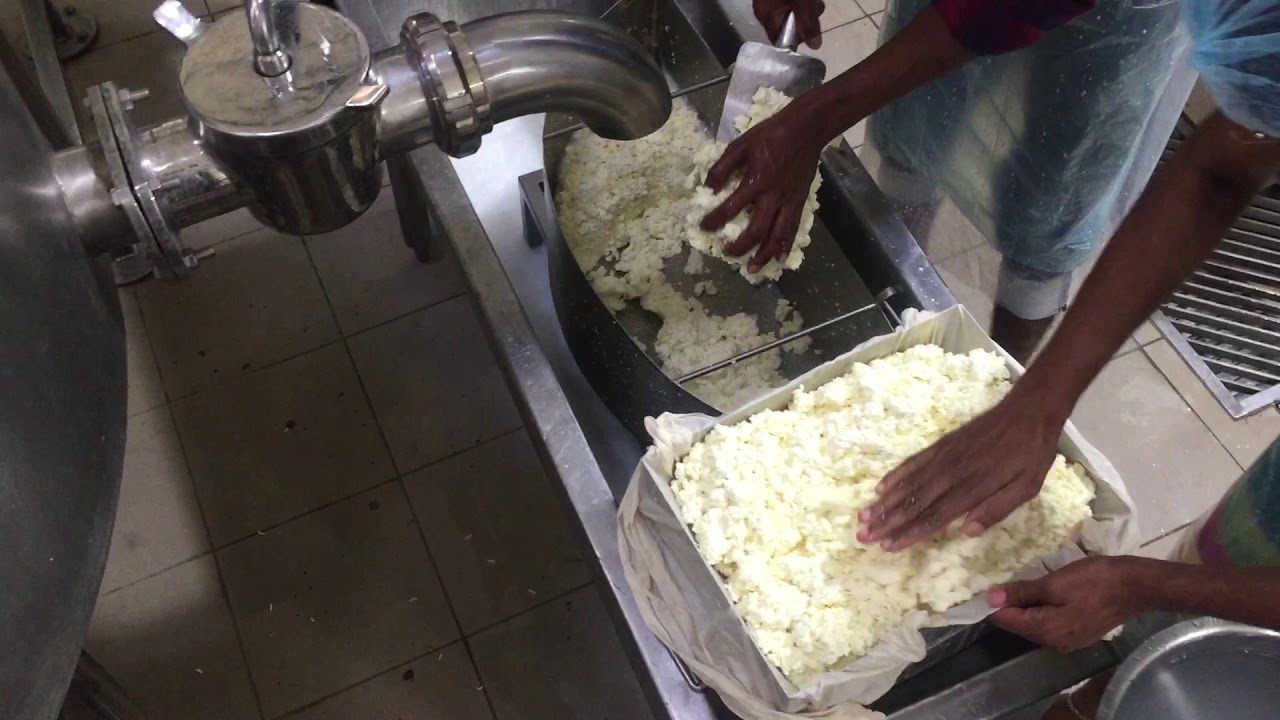 Dairy Powertech  :-  Paneer Hoop Filling