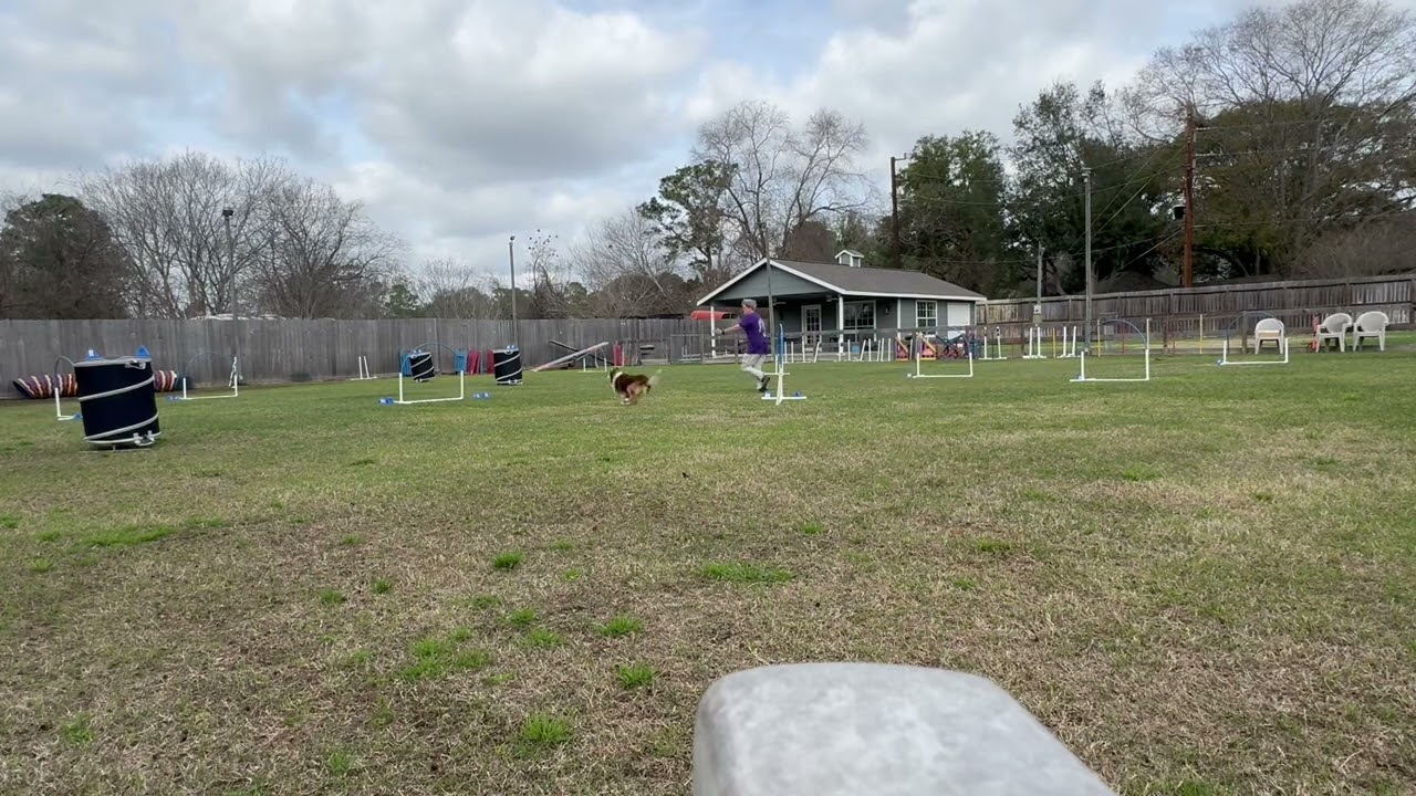 Bonus, Elite Grounders, Cinch, Round 2, 2/17/26