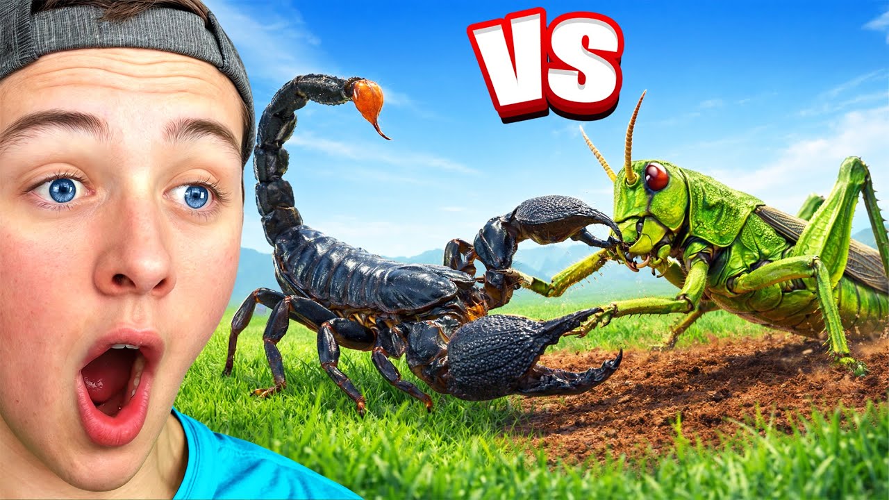 BeckBros React To Most Intense BUG FIGHTS Ever Recorded!