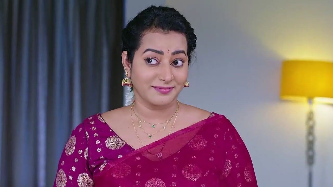 Shravani Subramanya | Ep - 380 | Webisode | Aug 28 2025 | Zee Kannada