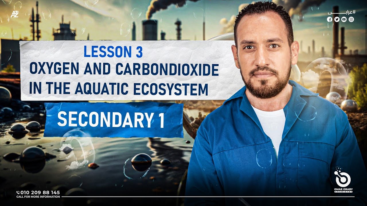 integrated science chapter 1 lesson 3 oxygen and carbon dioxide in the aquatic ecosystem
