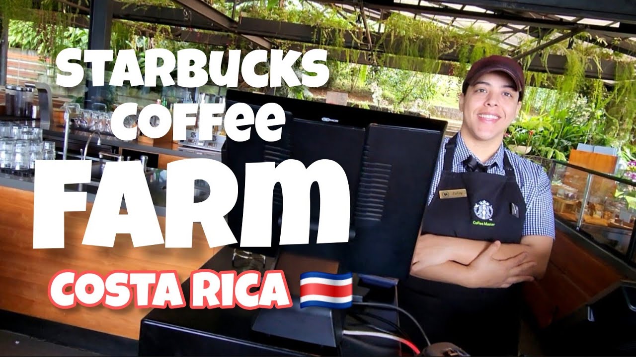 Hacienda Alsacia - Starbucks Coffee Farm Experience #costarica