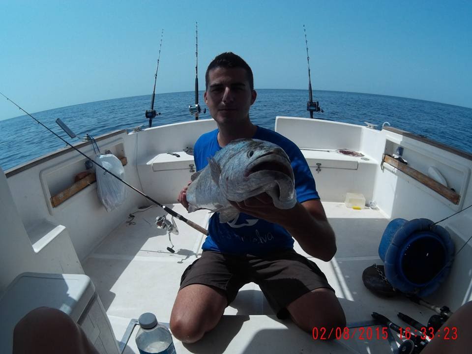 Corvinata 5kg con cebo vivo !
