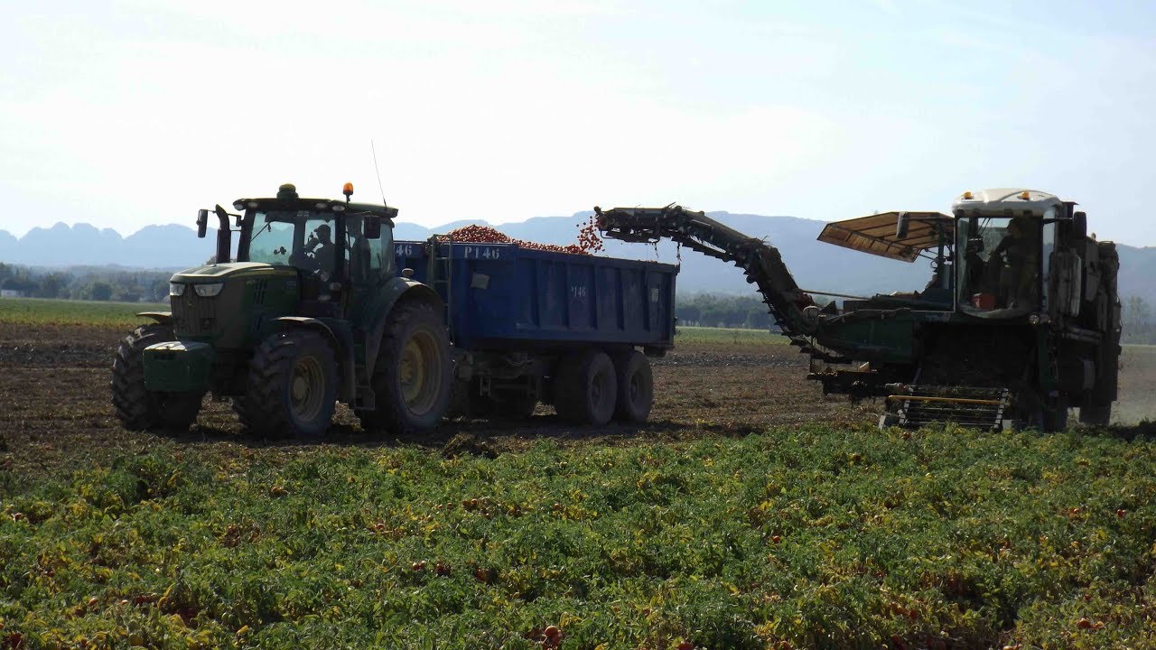 Récolte de tomate 2017 avec une Sendei Thx et un jd 6150r et 6190r
