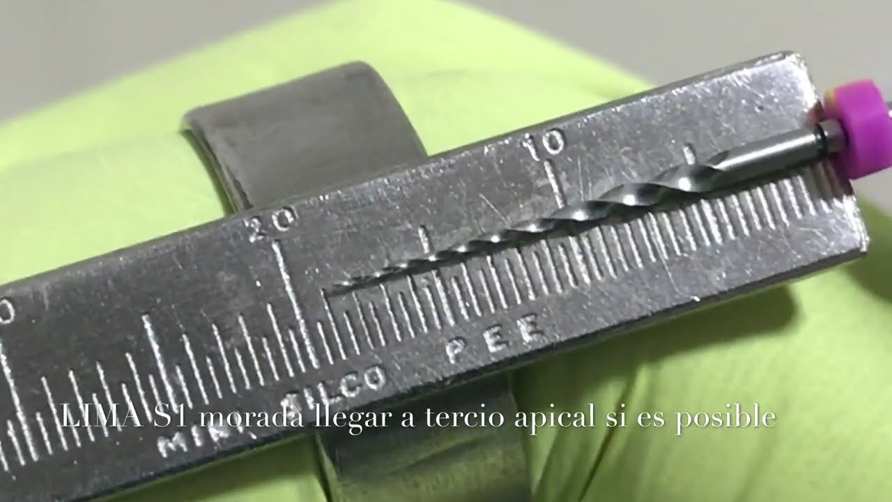 PROTAPER MANUAL