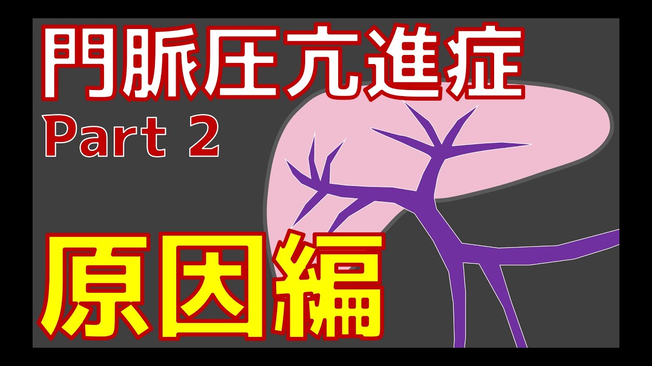 門脈圧亢進症 Part2 原因編