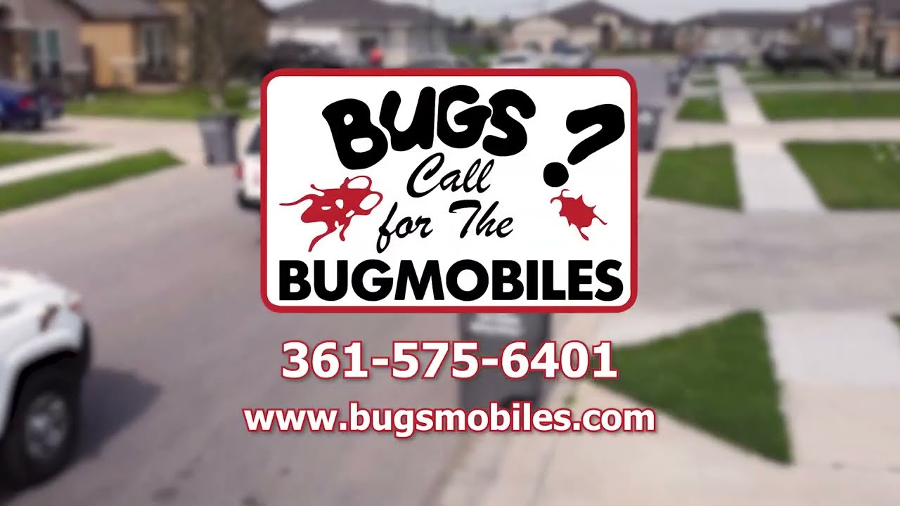 Bugmobiles Pest & Termite | Your Trusted Pest Control Experts | Victoria, TX