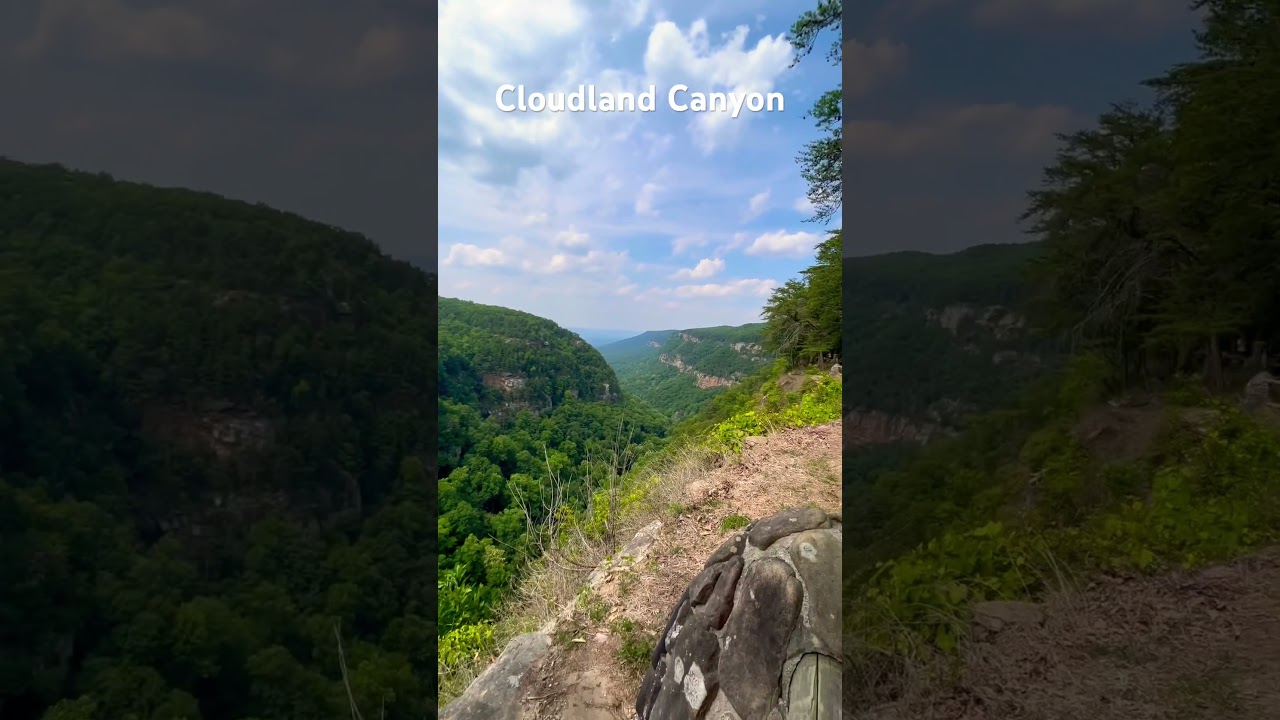 Cloudland Canyon. The most underrated place in Georgia. 