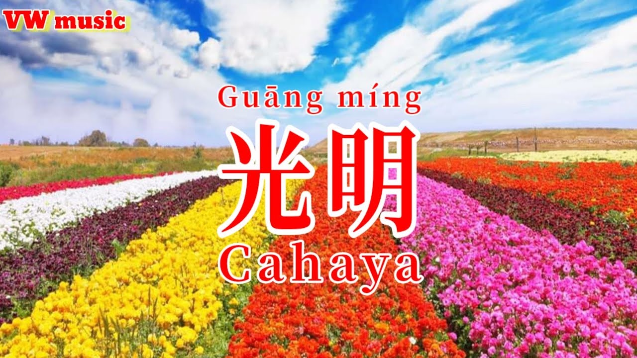光明 Guang ming - 譚艷 Tan yan (Lirik dan terjemahan)