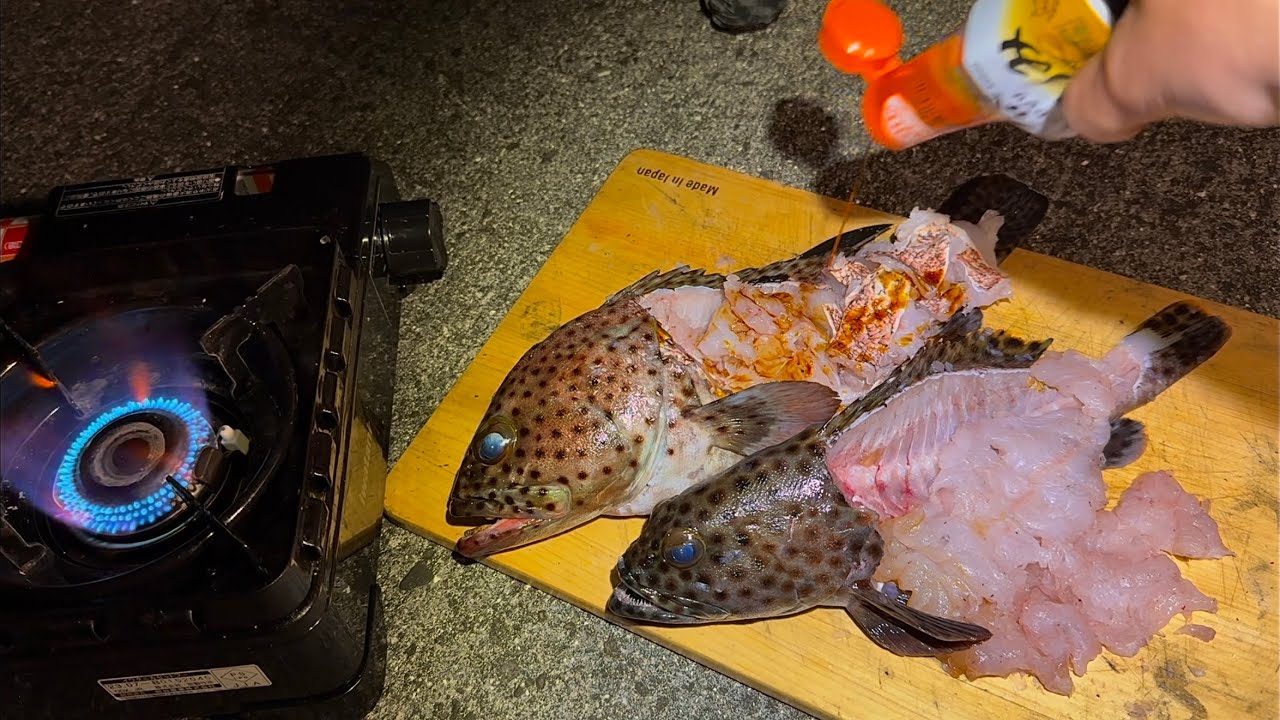 高級ハタをそのままコンロで炙って食ったら美味すぎた