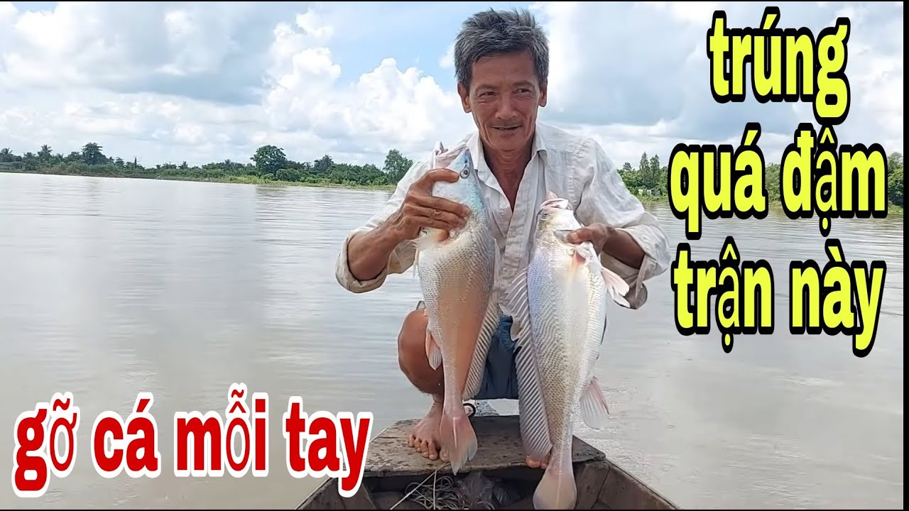 Vào Mùa Giăng Câu Cá Sủ Sông Tiền , Run Chân Hốt Cặp Cá Sủ Khủng # SĂN BẮT ĐỒNG THÁP #