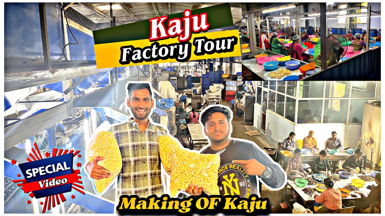 Making of Kaju || kaju kaise banta hai ||kaju factory Kaghaznagar | Epic Vlogger.