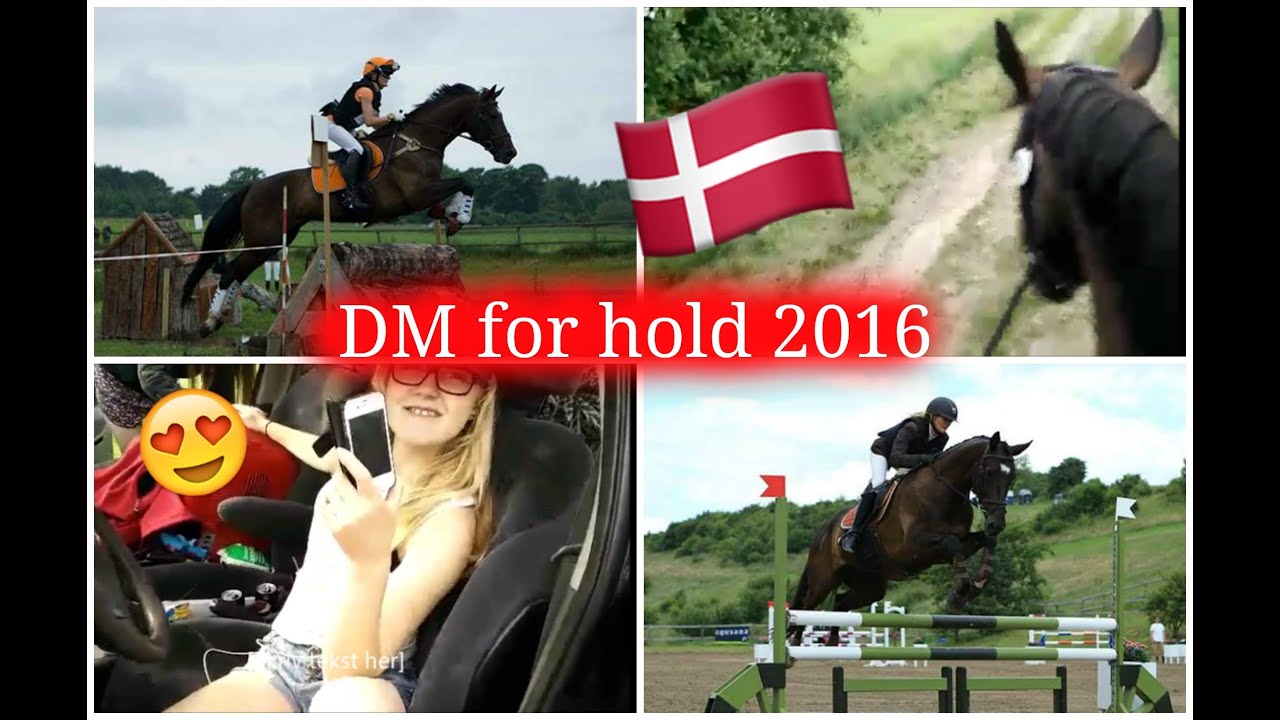 DM for hold 2016 - Vlog