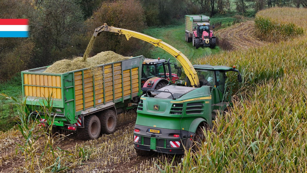 Maisernte | John Deere 8800 // 2x Massey Ferguson // Fendt 718 Vario TMS | Luxemburg 2024
