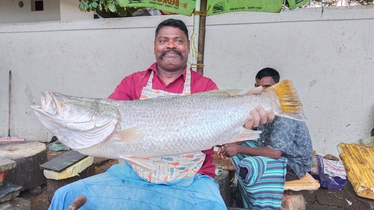 Original koduva fish cutting video/fishcuttingrs #fishcuttingrs #fish #kasimedu